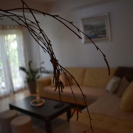 Fantasy Apartment Korčula Zewnętrze zdjęcie